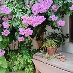 Chalet Las Nenas B&B
