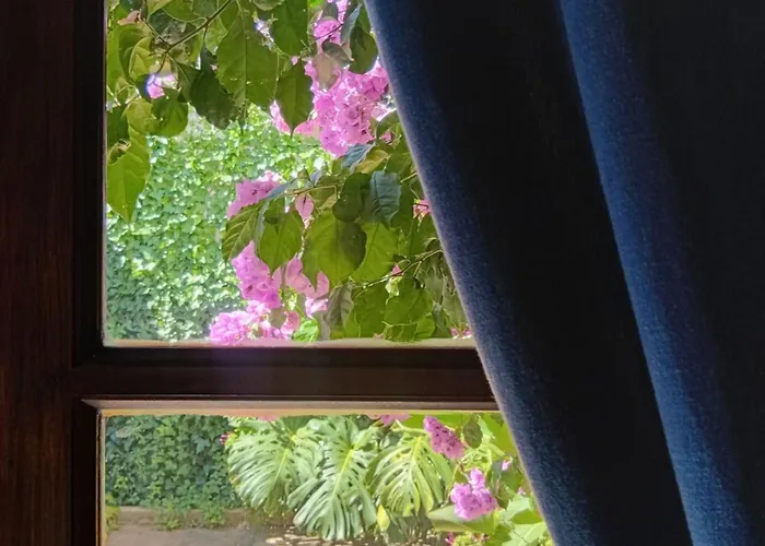Chalet Las Nenas B&B